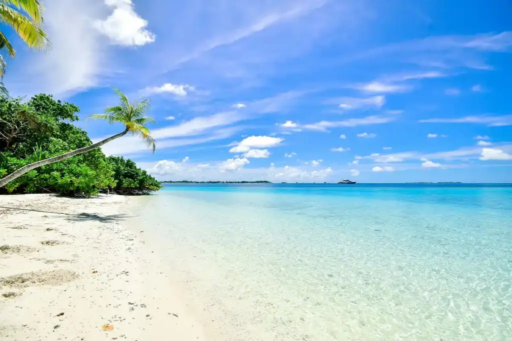 Beach Vacations