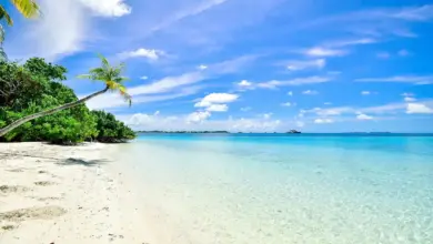 Beach Vacations