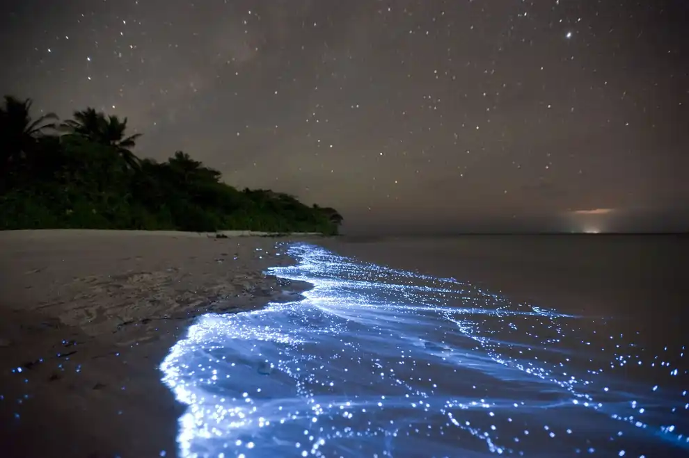 Vaadhoo Island, Maldives